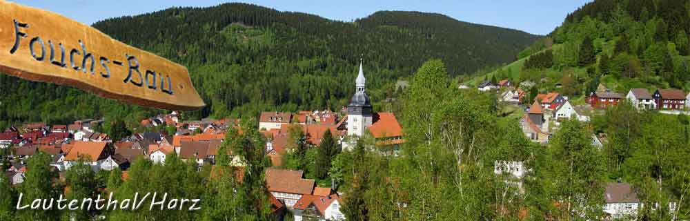 Ferienhaus Wedde